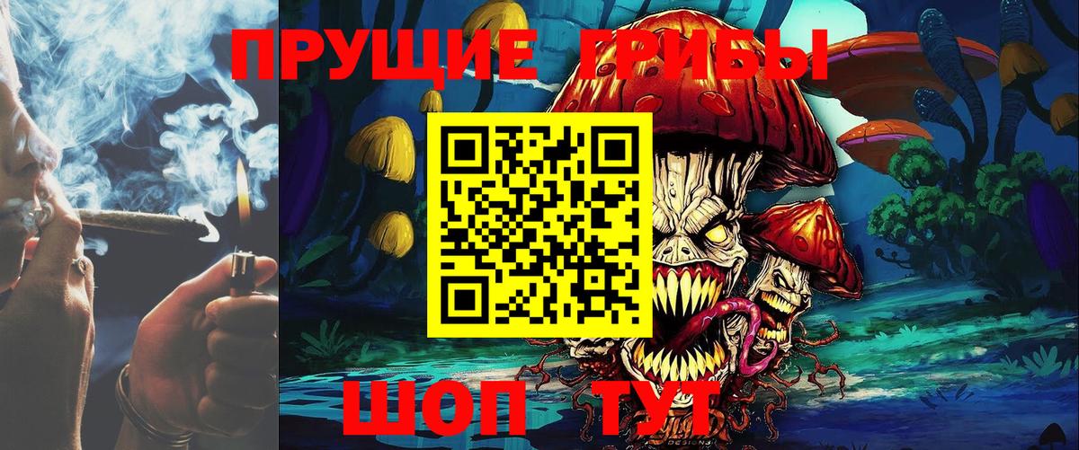 Галлюциногенные грибы прущие грибы  Псилоцибиновые грибы GOLDEN TEACHER  Бугульма  Вход с VPN 